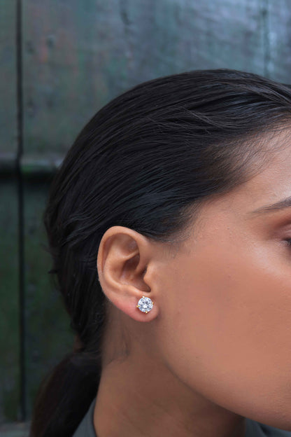 Celestia Studs